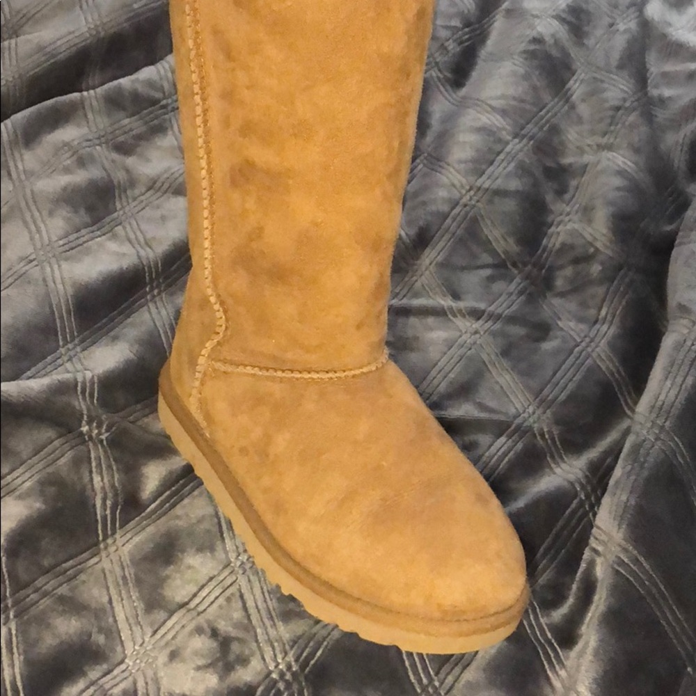 Chestnut classic tall uggs